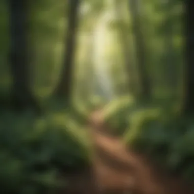 Dappled Light in the Woods Sunlight filtering through lush green leaves creating a mystical ambiance