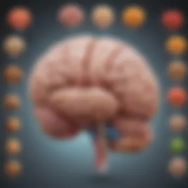 Diagram Showing Brain Functions Influenced by Dietary Choices Diagram of brain functions affected by diet