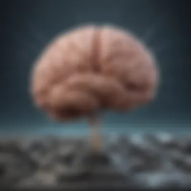 Impulsive Action Mechanisms Illustrative brain activity related to impulsive actions