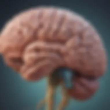The Brain-Nutrition Connection Explained An artistic representation of the brain with highlighted regions indicating areas affected by nutrition.