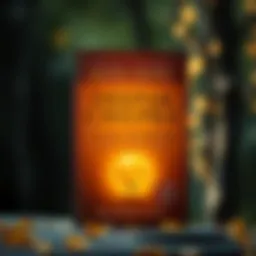 Cover of Deepak Chopra's book on spirituality