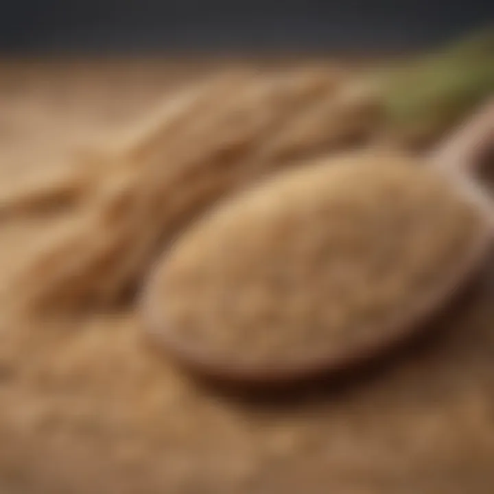 A close-up of whole grains demonstrating their importance in a balanced diet.