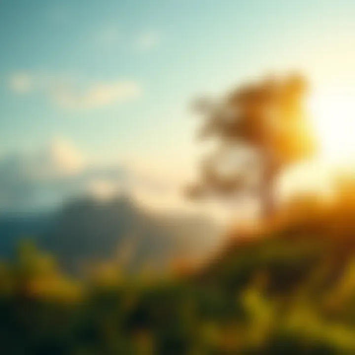 A Journey Through Nature: Discovering Yourself A serene landscape representing self-discovery