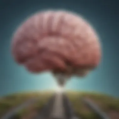 The Emotional Pathways to Happiness Illustration of the brain with emotional pathways highlighted