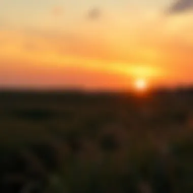 A serene sunset casting warm hues over an open field
