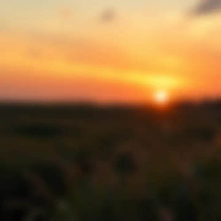 A serene sunset casting warm hues over an open field