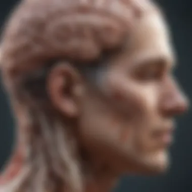 Understanding Trauma and the Brain The intricate relationship between trauma and the brain's response