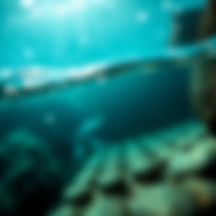 Notable Exploring the Depths: A Comprehensive Analysis of 'The Shallows' by Nicholas Carr