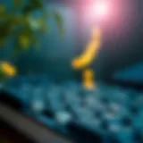 Exploring the Essence of the Present: A Comprehensive Summary of 'The Power of Now' Introduction