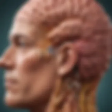 The Influential Cover of 'Grain Brain' by Dr. Perlmutter Cover of Grain Brain