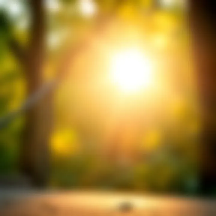 Illuminating Insights: The Role of Inspirational Light in Personal Growth Summary
