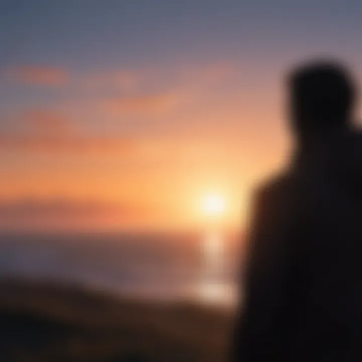 A silhouette of a figure looking towards the horizon