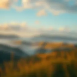 A serene landscape representing calmness amidst chaos