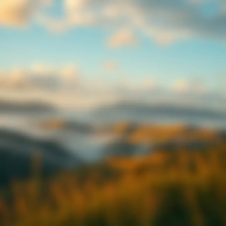 Finding Calm in Chaos A serene landscape representing calmness amidst chaos