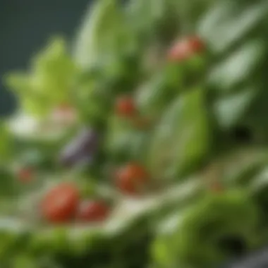 Close-up of a fresh green salad filled with leafy vegetables and seeds, representing nutritional diversity.