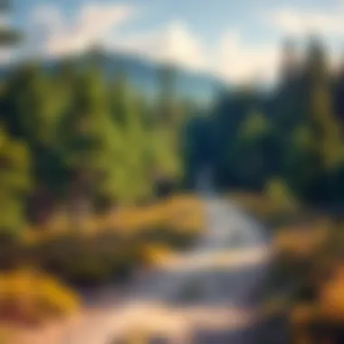 A serene landscape featuring a tranquil path through a lush forest