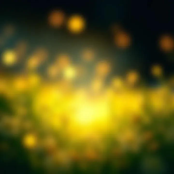 The Essence of Present Awareness: Harnessing the Power of Now Summary