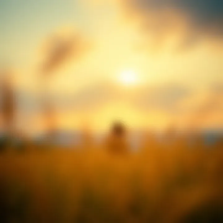 Notable The Happiness Project: Exploring Pathways to Lasting Contentment