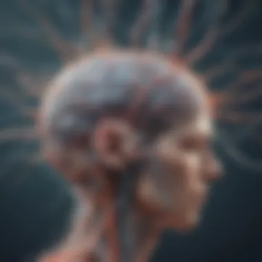 Neural Pathways and Digital Influence Brain illustration showing neural pathways affected by internet usage