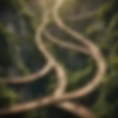 Intertwined Paths of Development Symbolic representation of character development with intertwined paths.