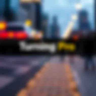 Turning Pro: A Comprehensive Exploration Summary Turning Pro: A Comprehensive Exploration Summary