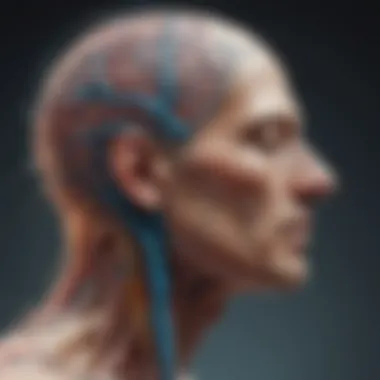 The Interconnection of Mind and Body in Trauma Abstract representation of trauma in the mind and body.